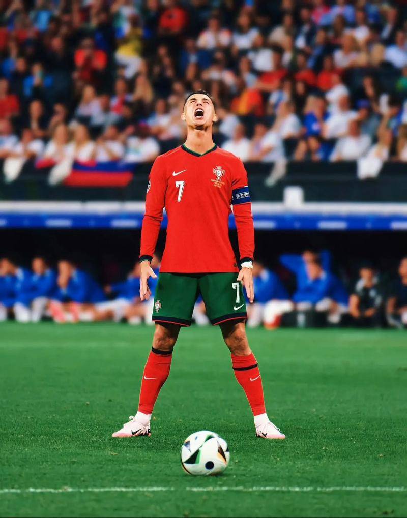 [德甲]第30轮：海登海姆VS拜仁